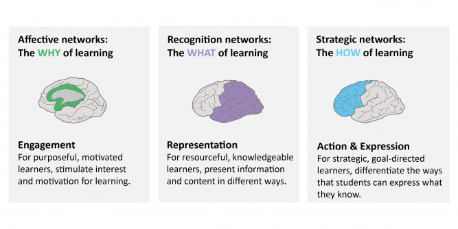 networks underpinning udl principles