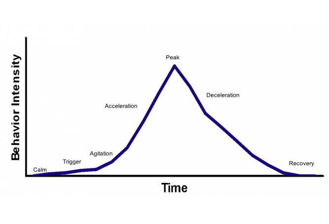 free séminaire de probabilités